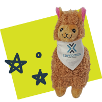 Llama plush
