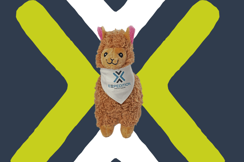 Llama Free Gift