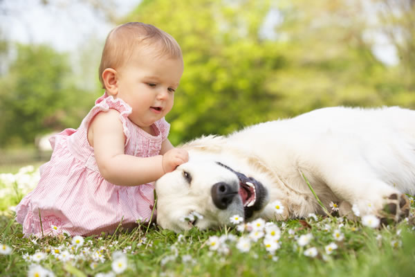 baby petting dog